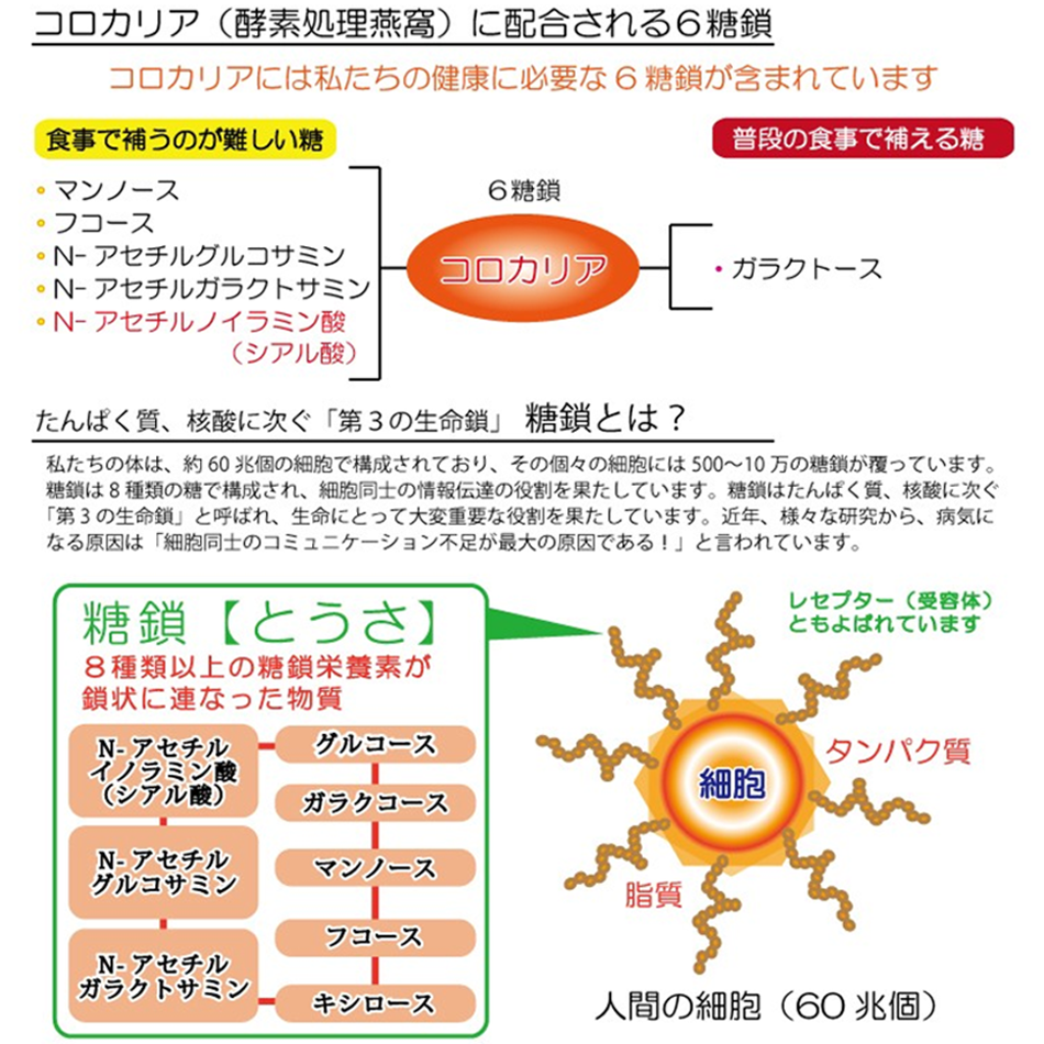 ニッポー　カードラック CR-20N　お得10個パック - 3